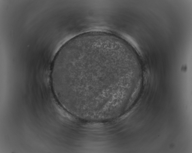 X0000092211260200710051129