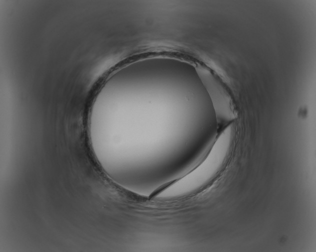 X0000092211261200710051129