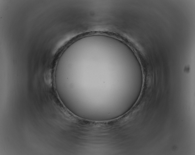 X0000092211262200710051129