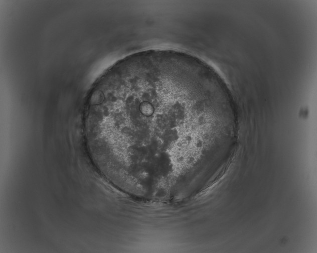 X0000092211263200710051129