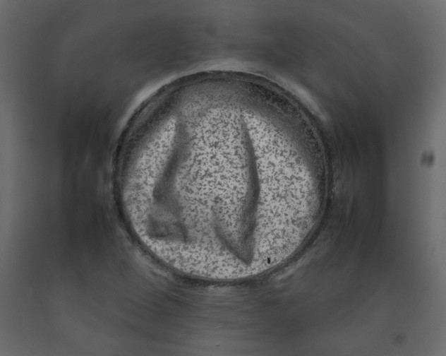 X0000092211264200710051129