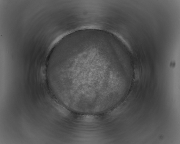 X0000092211266200710051129