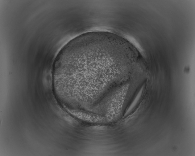 X0000092211268200710051129