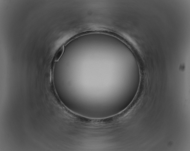 X0000092211269200710051129