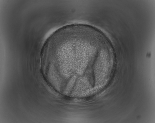 X0000092211271200710051129