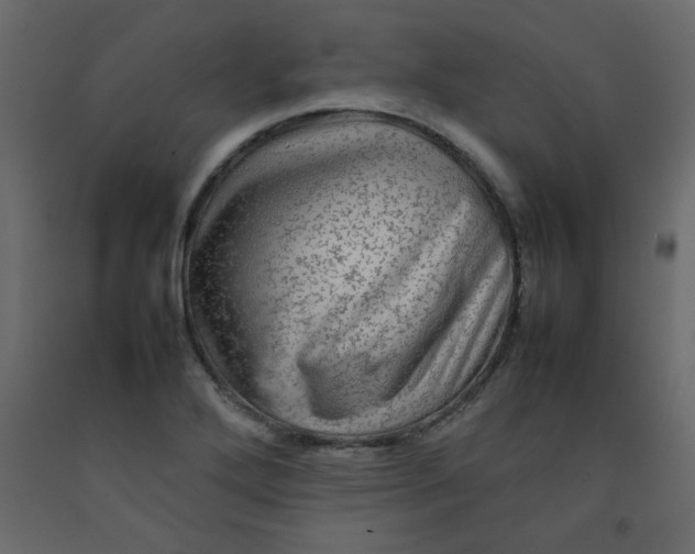 X0000092211272200710051129