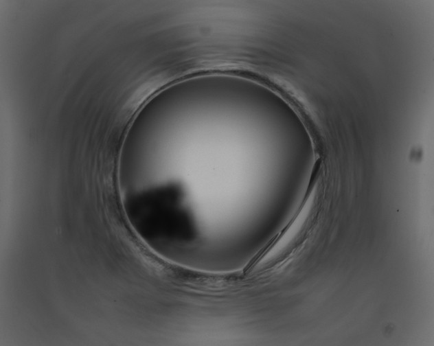 X0000092211273200710051129