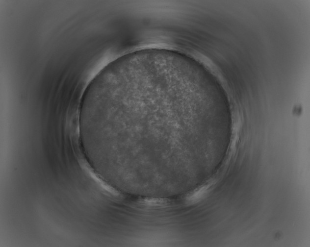 X0000092211274200710051129