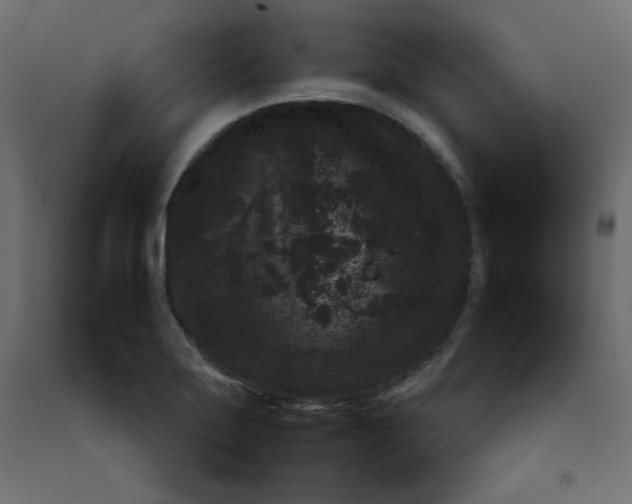 X0000092211275200710051129