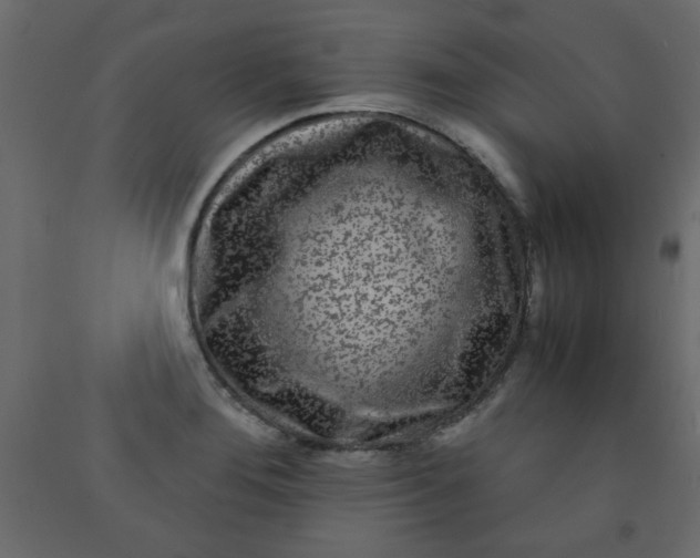 X0000092211276200710051129