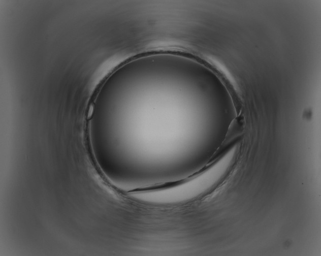 X0000092211277200710051129