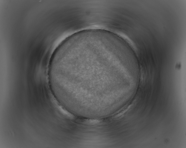 X0000092211278200710051129