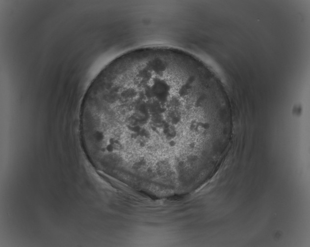 X0000092211279200710051129