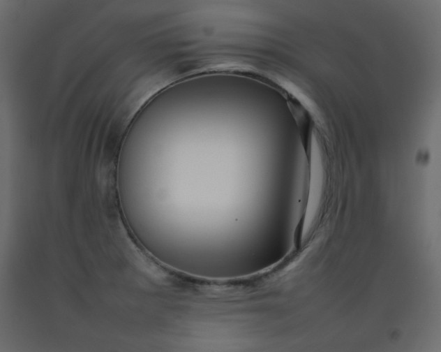 X0000092211281200710051129