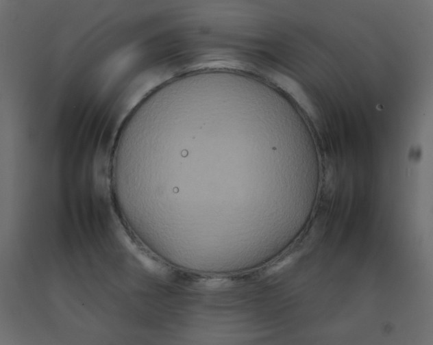 X0000092211282200710051129