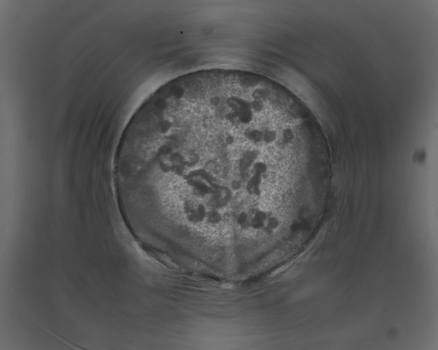 X0000092211283200710051129