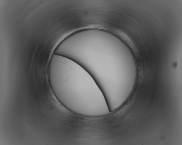 X0000092211284200710051129