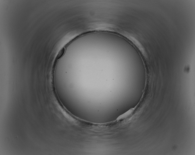 X0000092211285200710051129