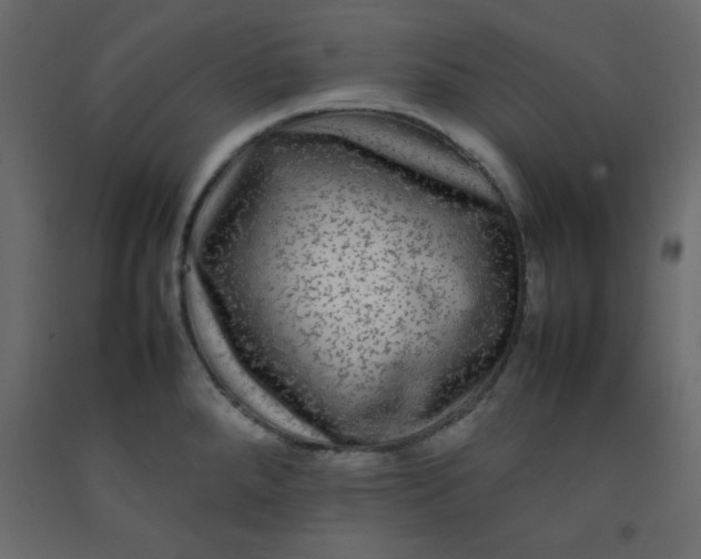 X0000092211288200710051129