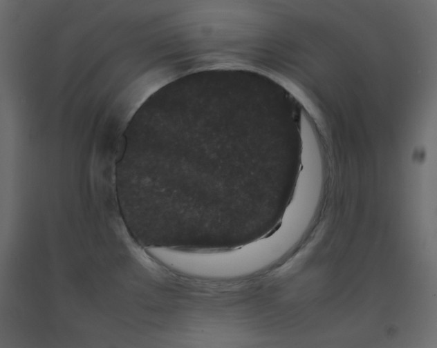 X0000092211289200710051129