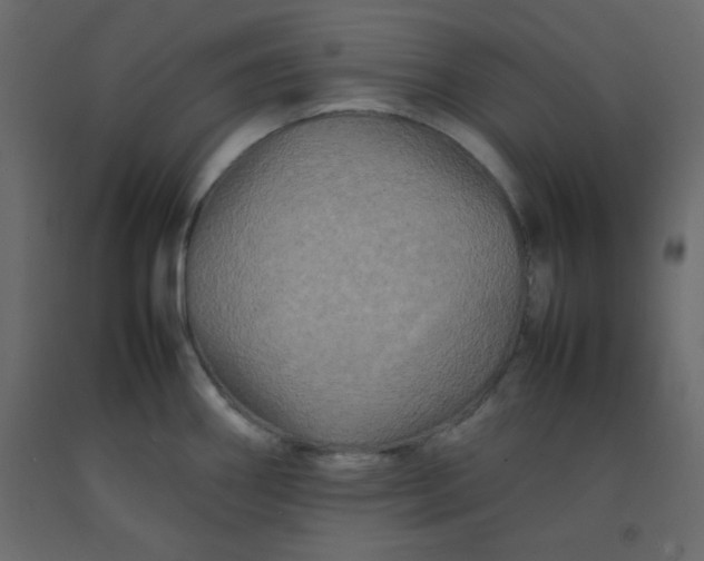 X0000092211290200710051129