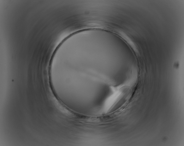 X0000092211291200710051129