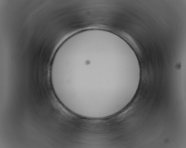 X0000092211292200710051129