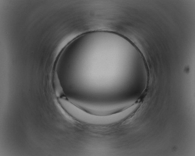 X0000092211293200710051129