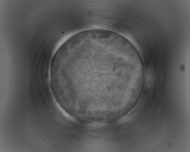 X0000092211294200710051129