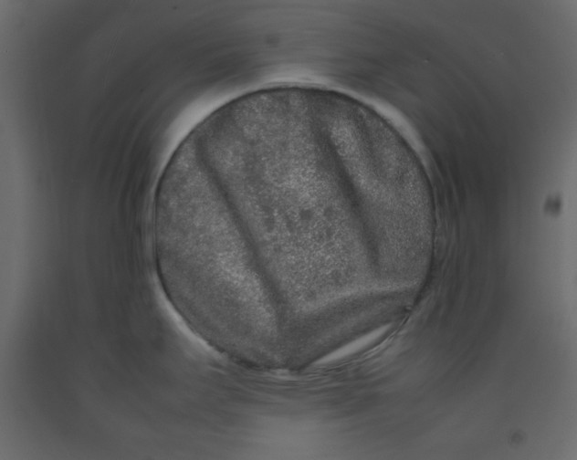 X0000092211295200710051129