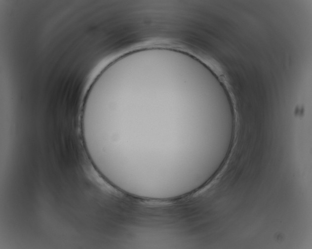 X0000092211296200710051129