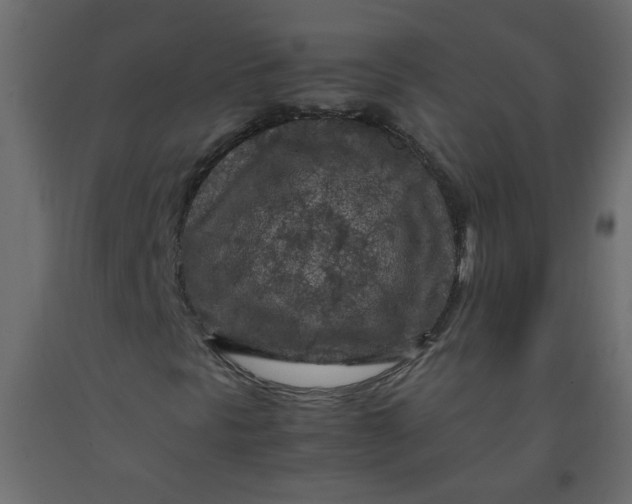 X0000092211297200710051128