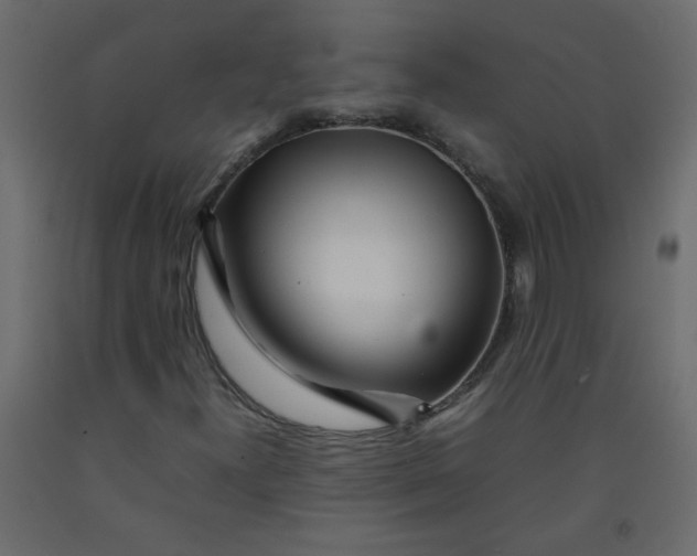 X0000092211300200710051128