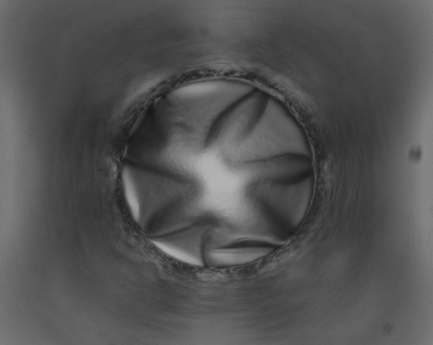 X0000092211302200710051128