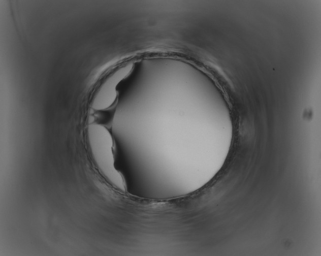 X0000092211304200710051128