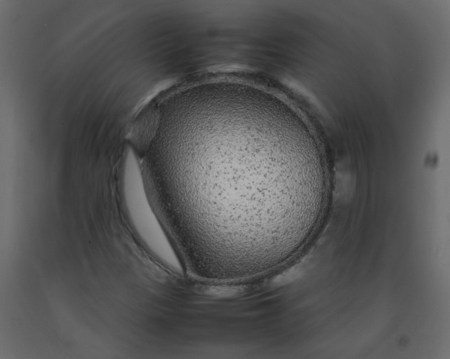 X0000092211305200710051128