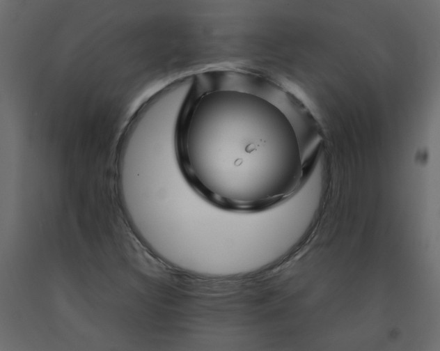 X0000092211308200710051128