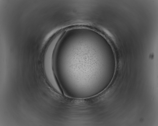 X0000092211310200710051128