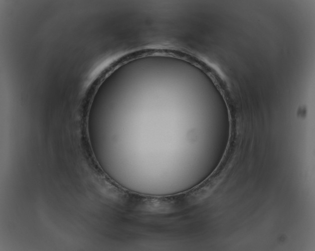 X0000092211311200710051128