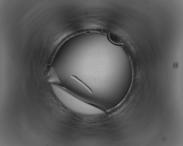 X0000092211313200710051128