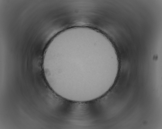 X0000092211314200710051128