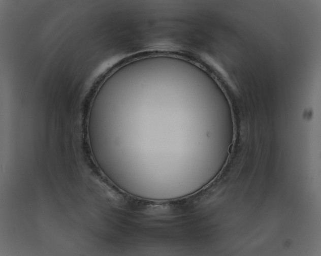 X0000092211315200710051128