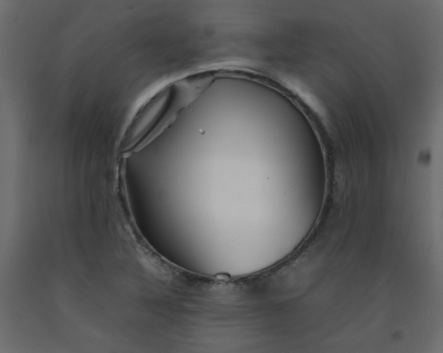 X0000092211316200710051128