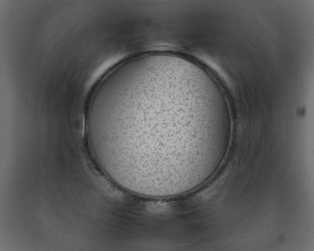 X0000092211317200710051129