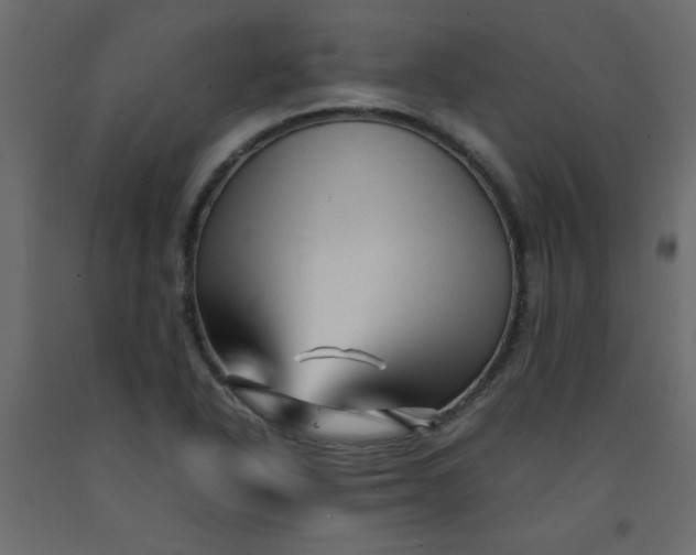 X0000092211318200710051129