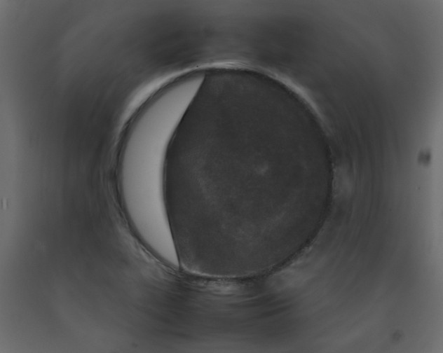 X0000092211319200710051129