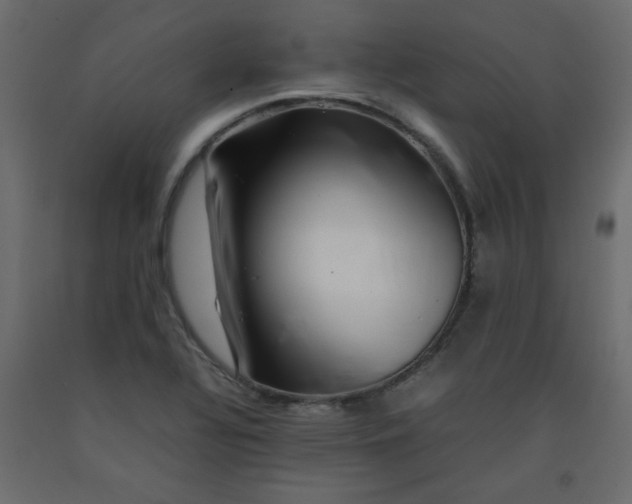 X0000092211320200710051129