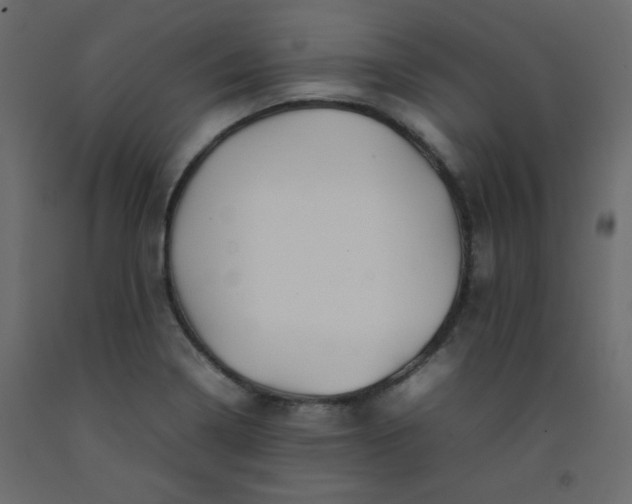 X0000092211322200710051129