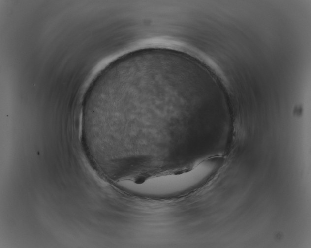 X0000092211323200710051129