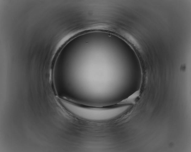 X0000092211324200710051129